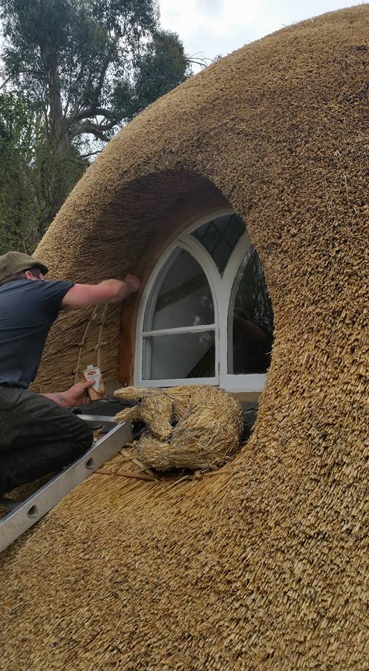 cornwall cob thatched roof