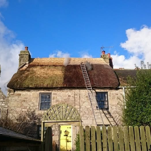 Thatched roof maintenance in Cornwall on a sunny day 