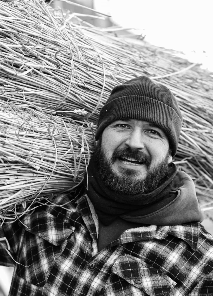 Toby carrying wheat for thatching roofs