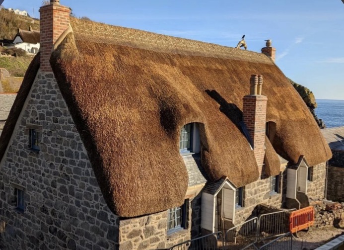 Water reed thatched cottage 